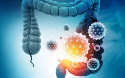 La microbiota intestinal y la evolución del enfermo por COVID-19